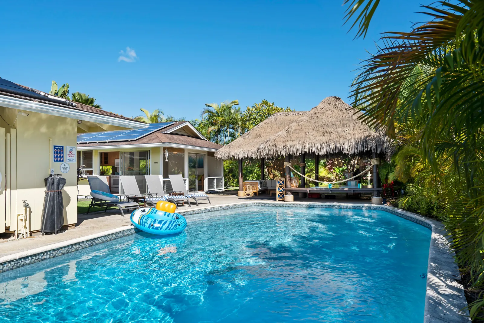 Piscine et végétation tropicale